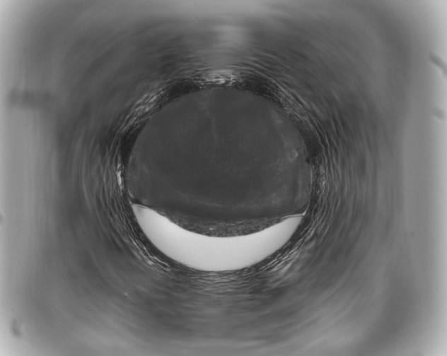 X0000096981394200802221423