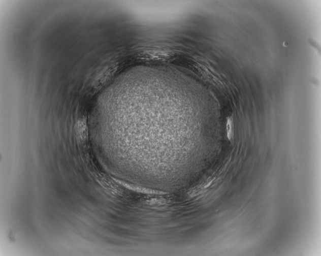 X0000096981395200802221423