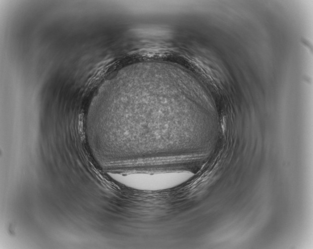 X0000096981396200802221423