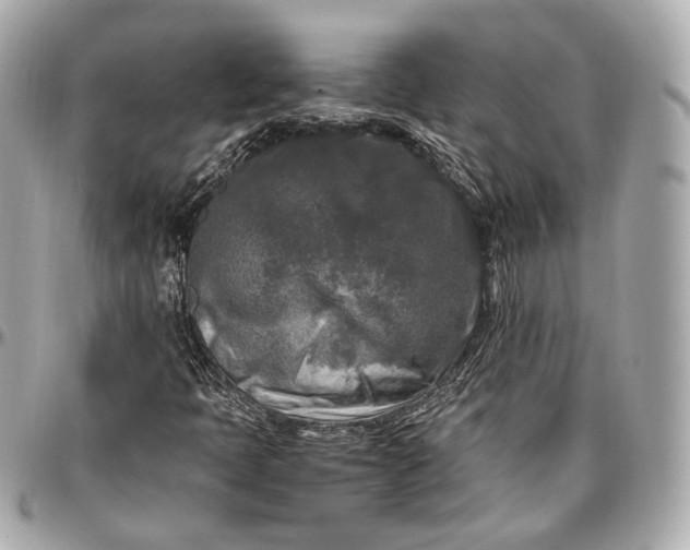 X0000096981397200802221423