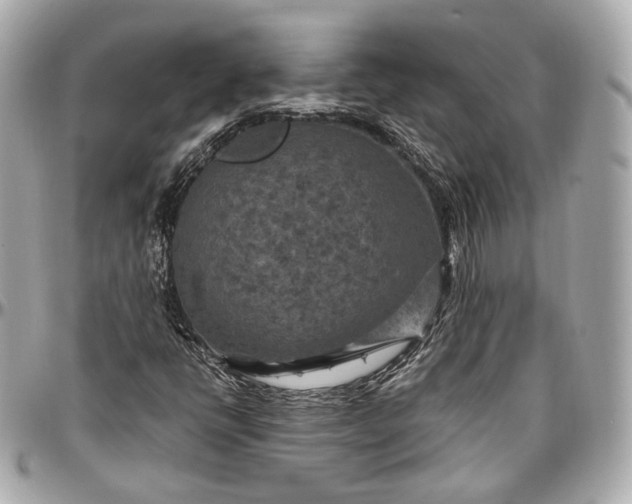 X0000096981398200802221423