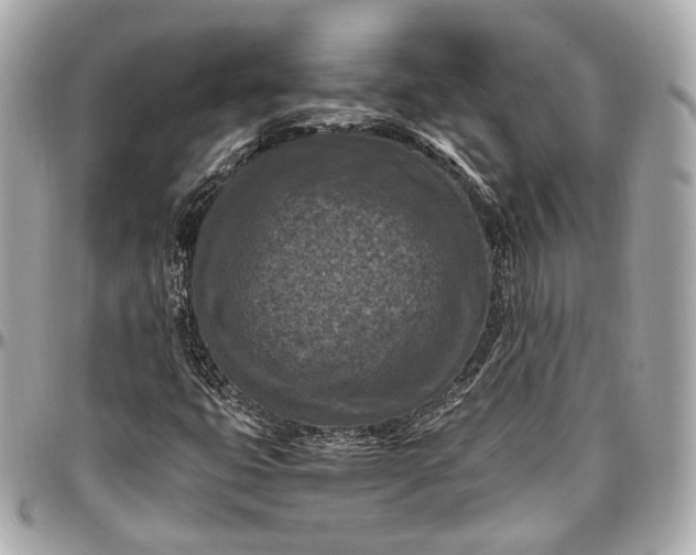 X0000096981399200802221423