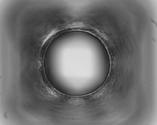 X0000096981400200802221423