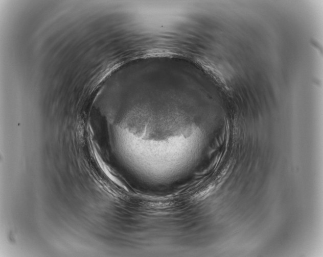 X0000096981401200802221423