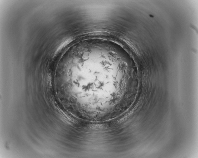 X0000096981402200802221423