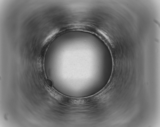 X0000096981403200802221423