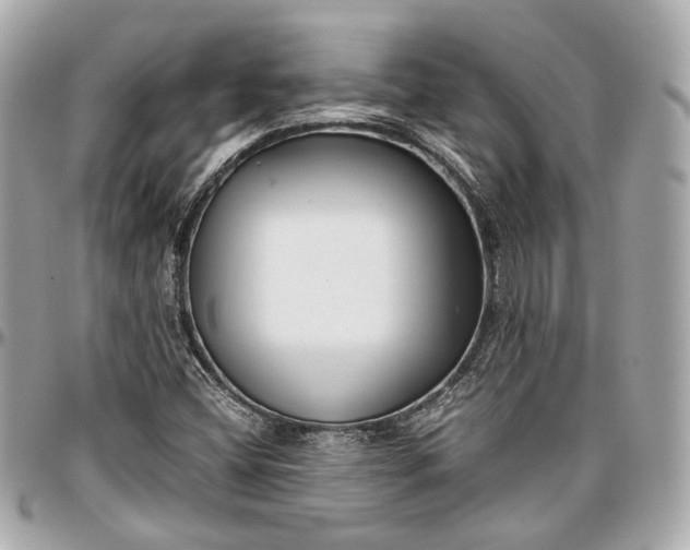 X0000096981404200802221423