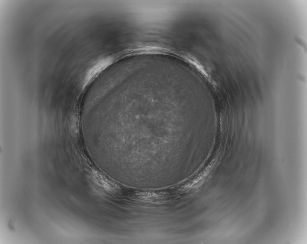 X0000096981405200802221423