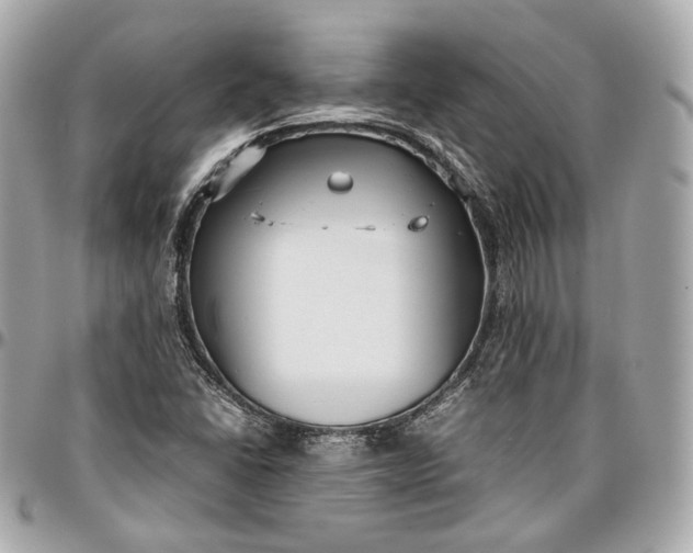 X0000096981406200802221424