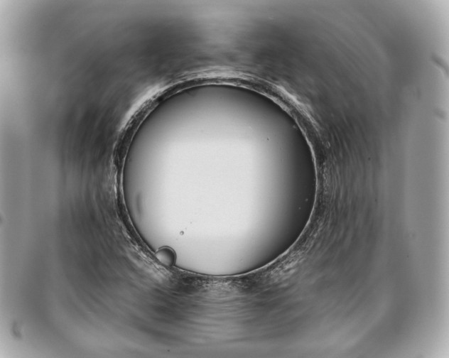 X0000096981408200802221424