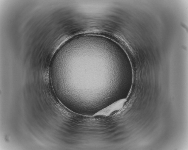 X0000096981409200802221424