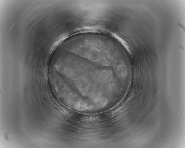 X0000096981411200802221424