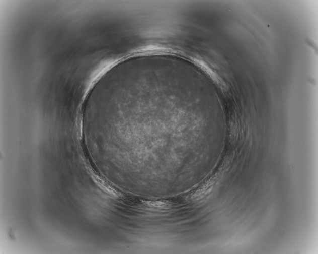 X0000096981413200802221424