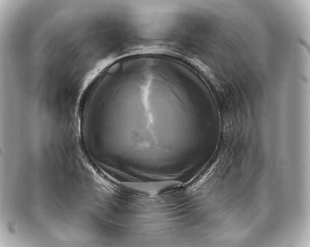 X0000096981414200802221424