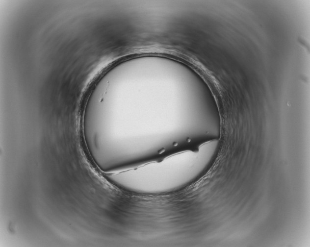 X0000096981416200802221424