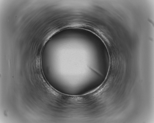 X0000096981417200802221424