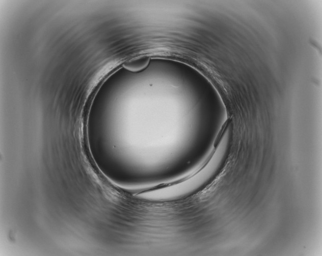 X0000096981418200802221424