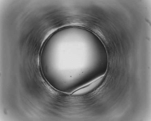 X0000096981420200802221424