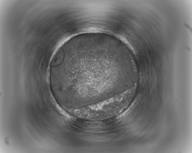 X0000096981421200802221424