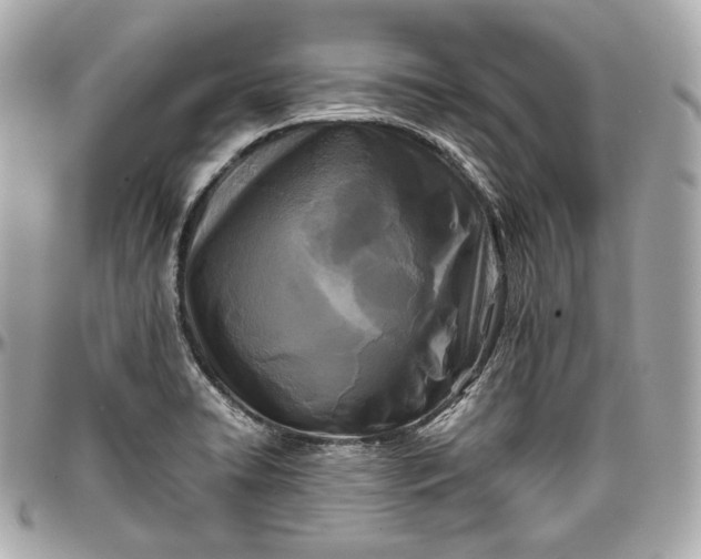 X0000096981422200802221424