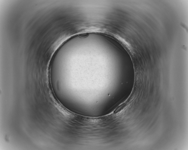 X0000096981423200802221424