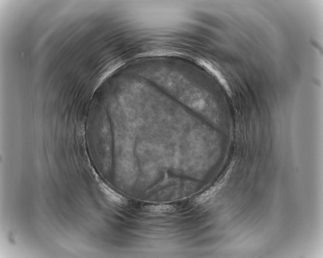 X0000096981425200802221424