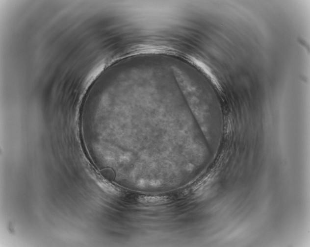 X0000096981427200802221424