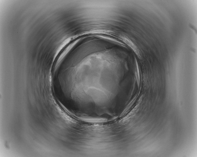 X0000096981428200802221424