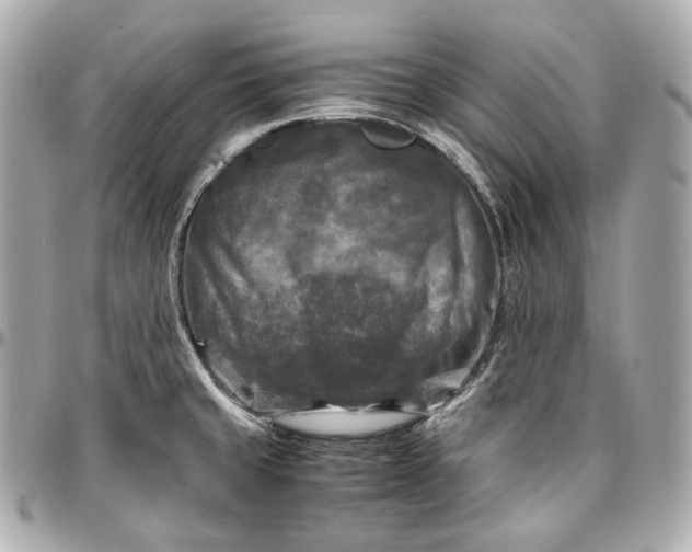 X0000096981429200802221424