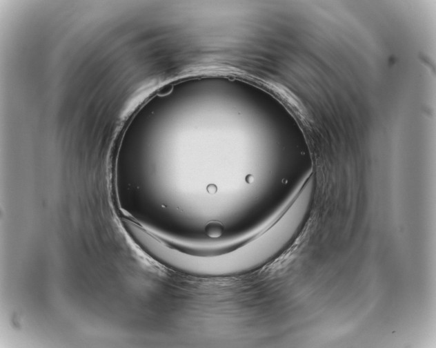 X0000096981430200802221424