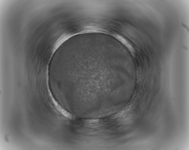 X0000096981431200802221424