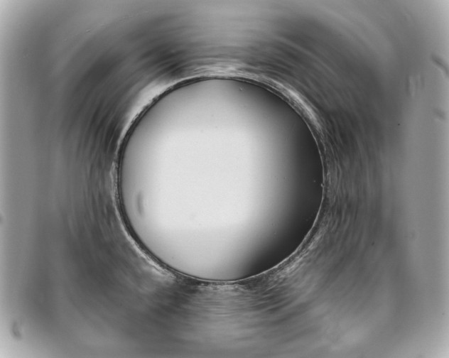 X0000096981432200802221424