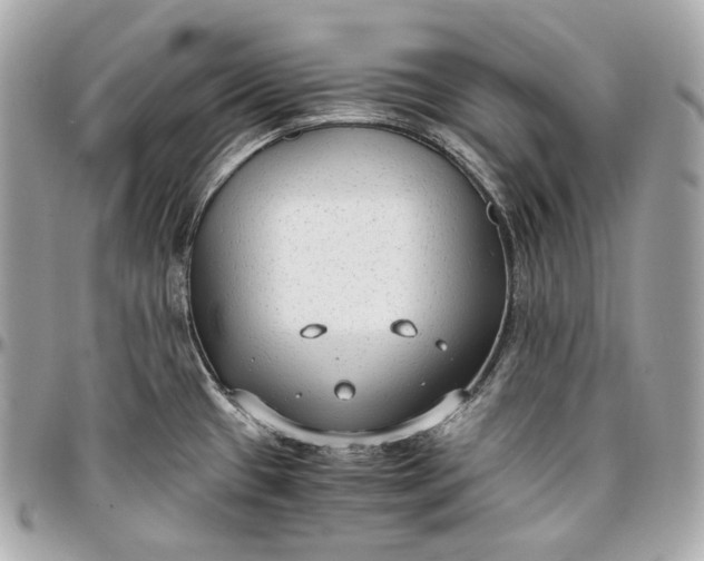 X0000096981433200802221424