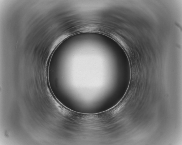 X0000096981434200802221424