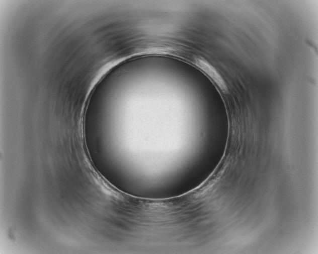 X0000096981436200802221424