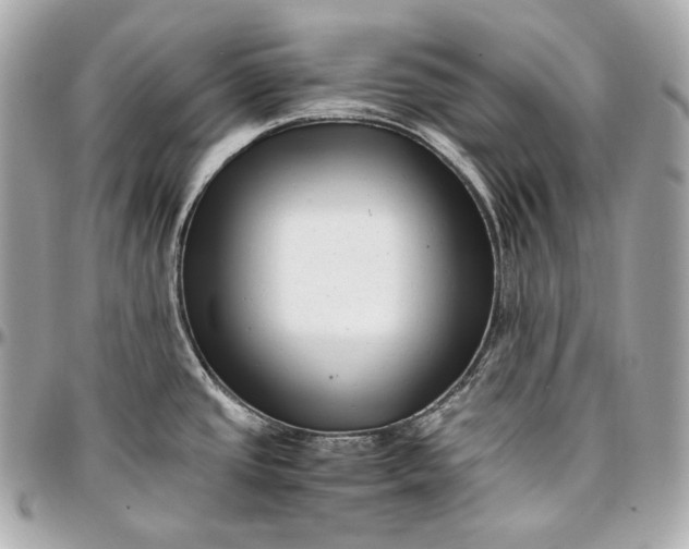 X0000096981437200802221424