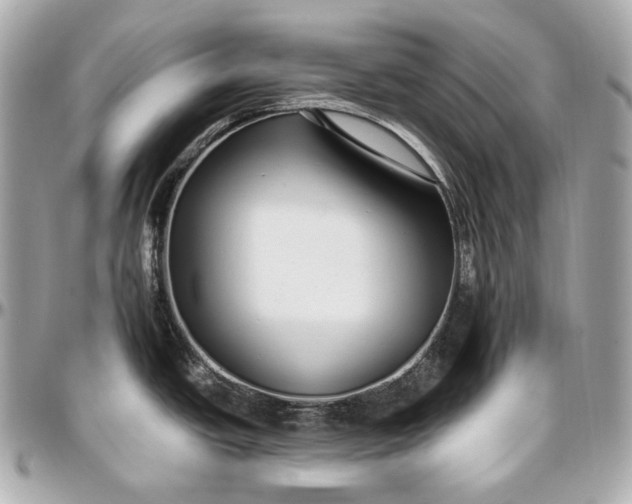 X0000096981438200802221424