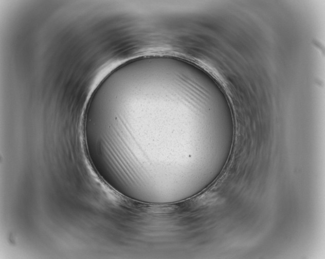 X0000096981440200802221424