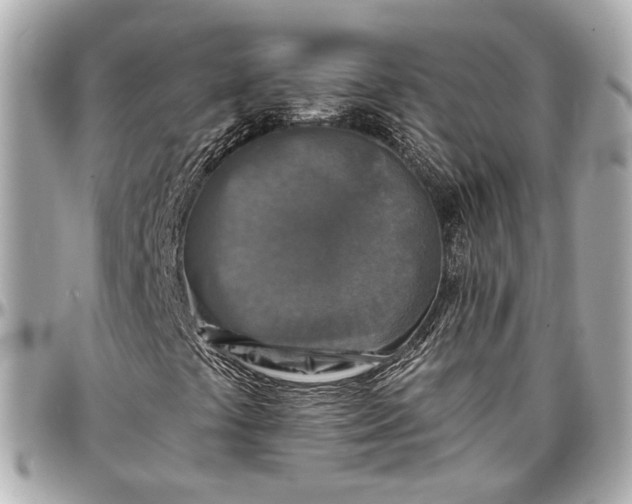 X0000096981441200802221423