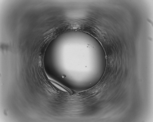 X0000096981442200802221423