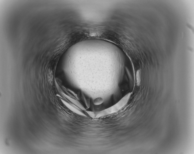 X0000096981443200802221423