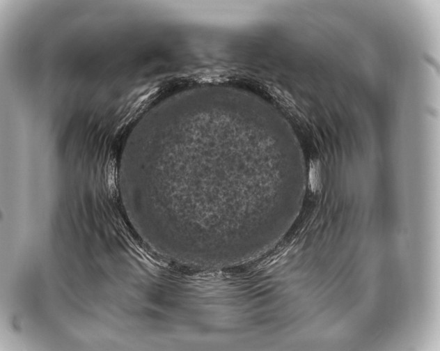 X0000096981444200802221423