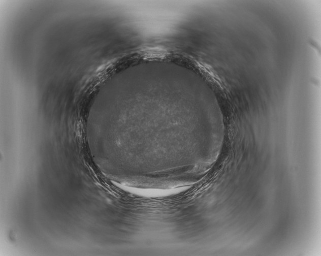 X0000096981445200802221423