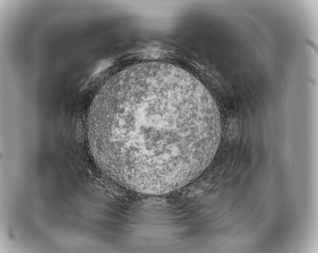 X0000096981446200802221423