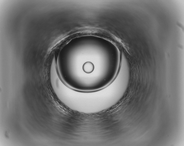 X0000096981448200802221423