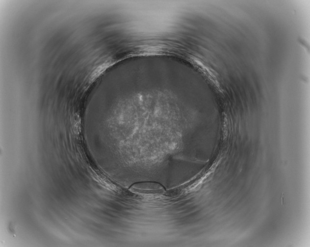 X0000096981449200802221423