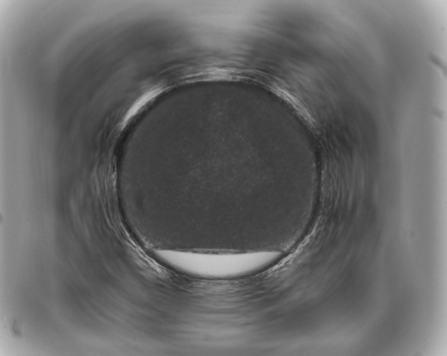 X0000096981450200802221423