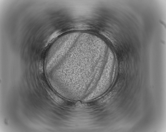 X0000096981451200802221423