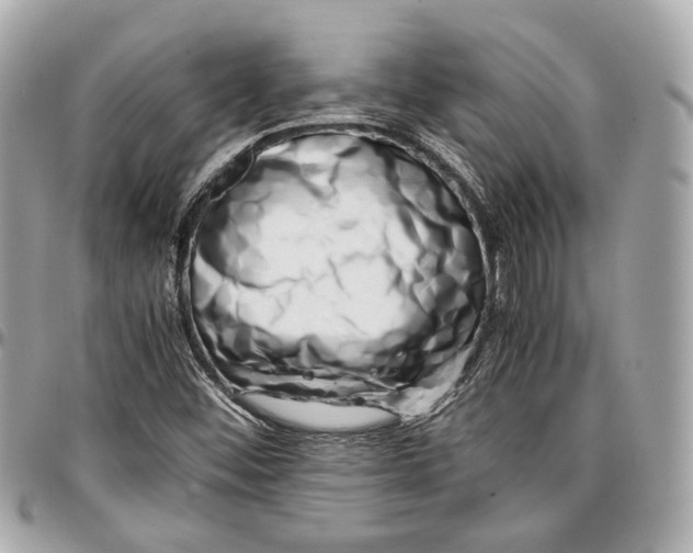 X0000096981452200802221423