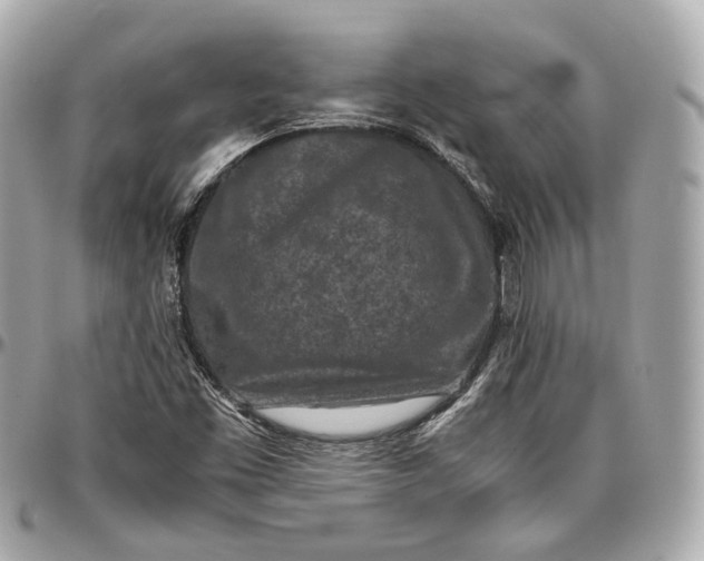 X0000096981453200802221423